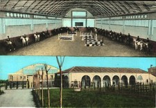 Abano Terme - Centro Ippico