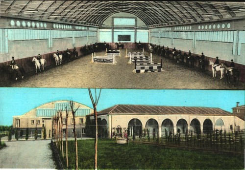 Abano terme centro ippico - abano,