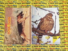 Rivista Magazine del