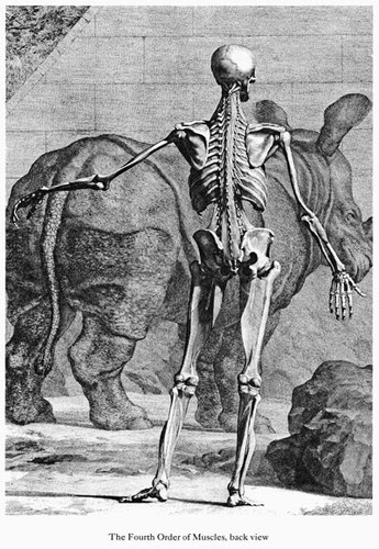 Ml45 poster vintage medico - poster,