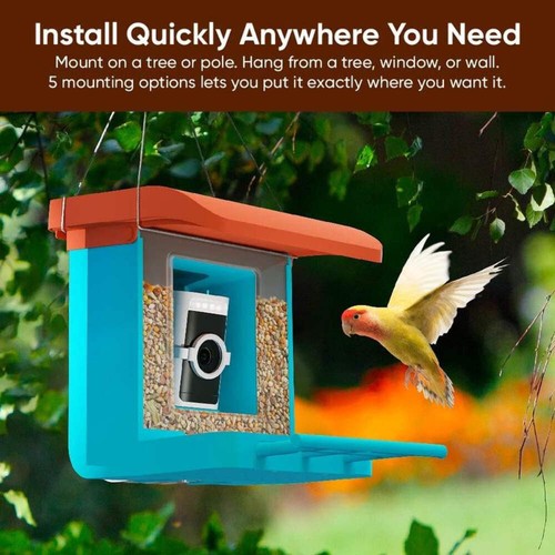 Wyze smart bird feeder - bird, con