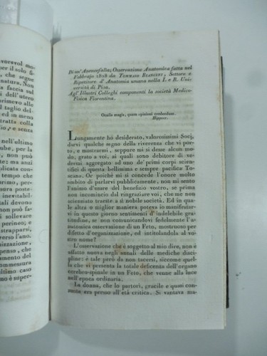 Anencefalia osservazione - di,