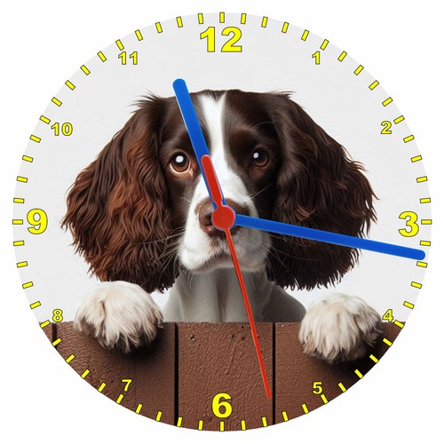 Orologio parete springer - da,