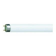 PHILIPS LAMPADINA TUBO NEON T8
