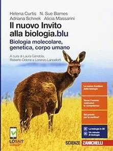 Nuovo invito alla - invito,