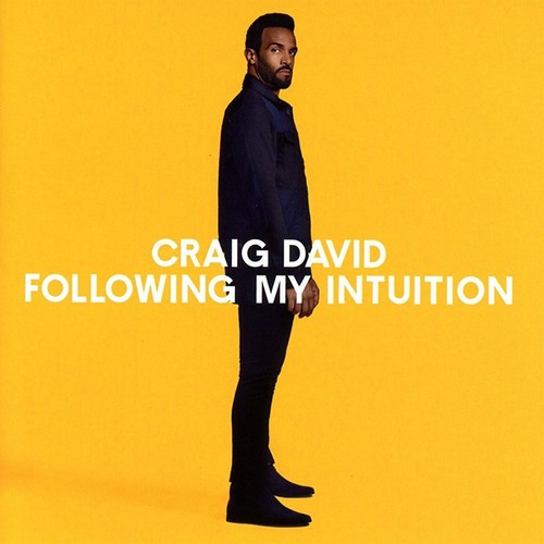 Craig david following my - david,