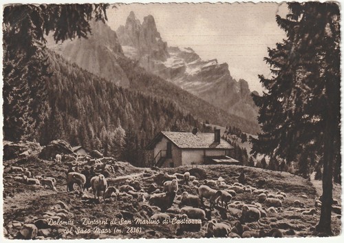 Dintorni martino di - di,