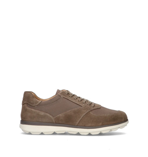 Geox sneakers uomo taupe pelle - taupe,
