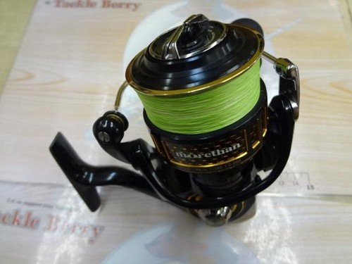 Mulinello spinning daiwa 17 - mulinello,