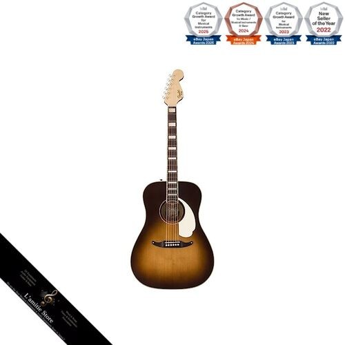 Chitarra acustica elettrica - chitarra, acustica-elettrica