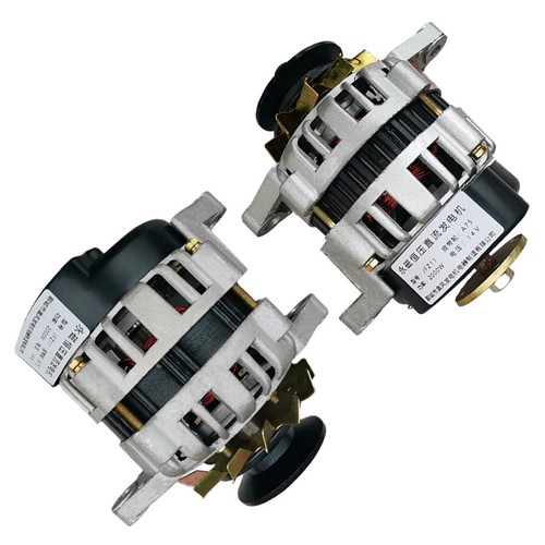 Alternatore 2000w pma - 2000w, dc