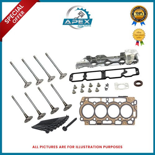 Testata guarnizione kit - testata, +