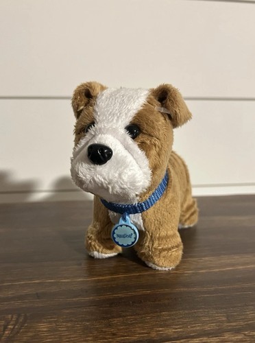 American girl doll - girl, pet