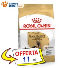 Royal Canin Dog → Adult