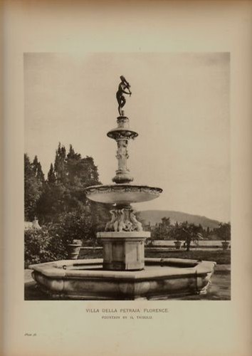 Disegno giardino grande - giardino,