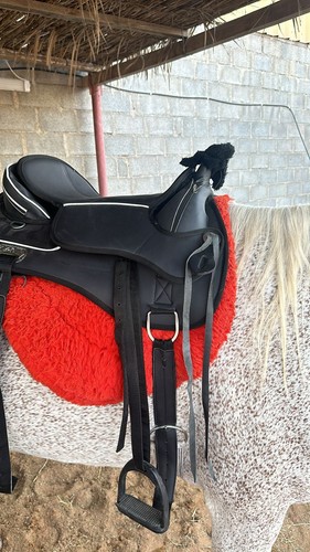 Sella cavallo western nuova - sella,