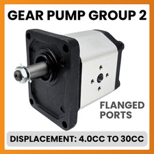 Idraulico Cambio Pompa, Gruppo