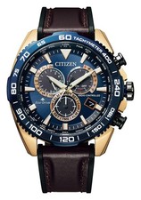 Citizen Promaster LAND Eco