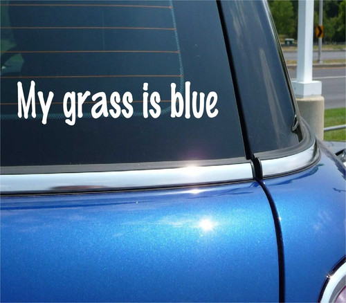 Mia erba blu bluegrass - blu,