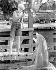 77503 Flipper Flipper Photo