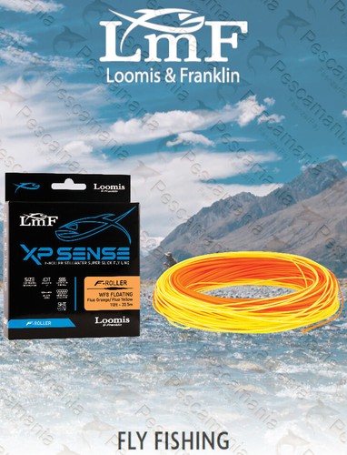 Coda topo lmf loomis - lmf,