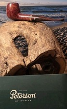 Pipa-Pipa-Peterson-Dublino-87-