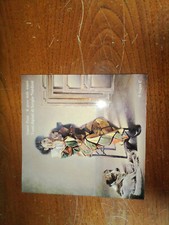 Venti dipinti di Sergio