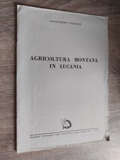 Gioacchino Viggiani 