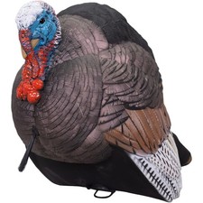 Higdon hard body - body, breeding