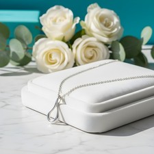 Tiffany & Co. Elsa Peretti