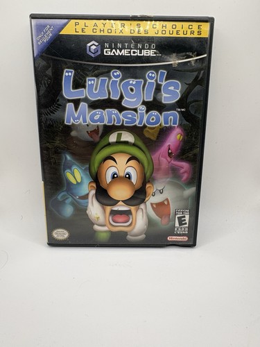 Luigi mansion player - luigi's,