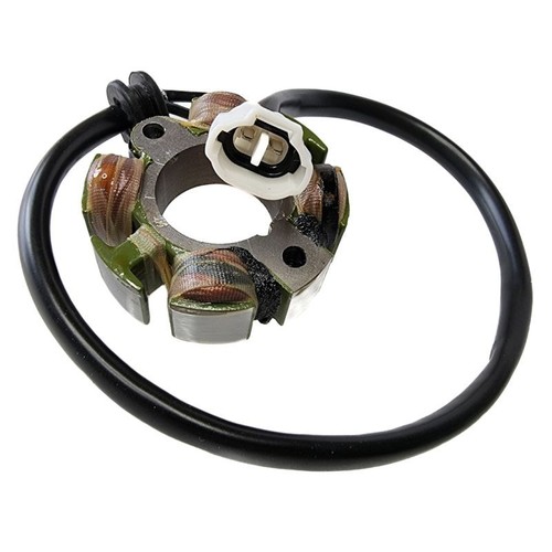 Avvolgimento alternatore - ,