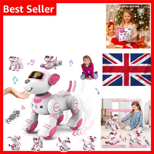 Robic robot cane rosa 17 - rc,