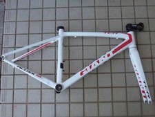 Solo telaio GIANT TCR ALUXX SL