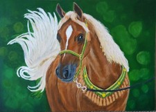 Cavallo da corsa, nome