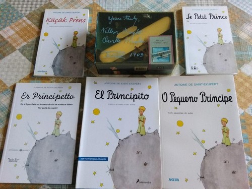 Piccolo principe 5 - principe.,