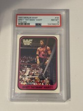 1991 Merlin WWF #32 Bret