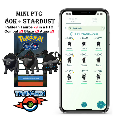 Paldean tauros combat - tauros, (combat