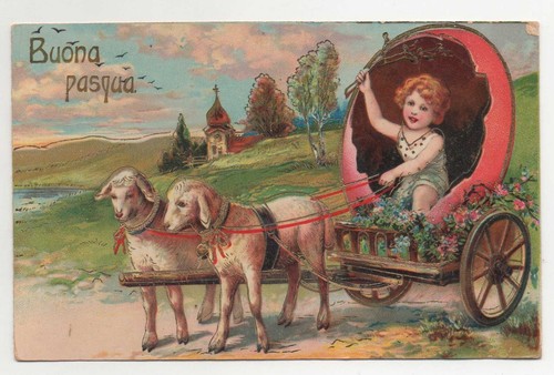 Cartolina antica buona - -,