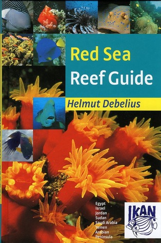 Red sea reef - red, new