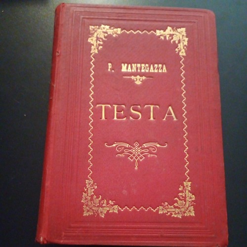 Paolo mantegazza testa - paolo,