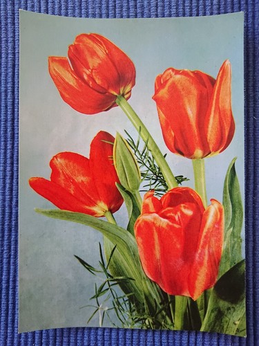 Vecchio cartolina biglietto - vecchio,