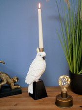 Nuovo portacandele pappagallo