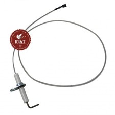 Elettrodo Rilevazione Hermann