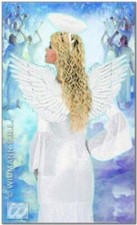 WIDMANN 8656W ali piumate