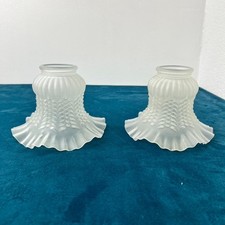 Coppia paralumi lampada vetro