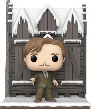 BOX ROTTO REMUS LUPIN Figura
