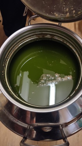 Nuovo olio extravergine - nuovo,