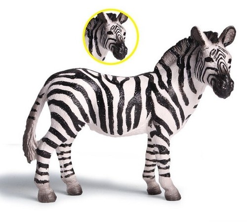 Zebra animali selvatici - animali,