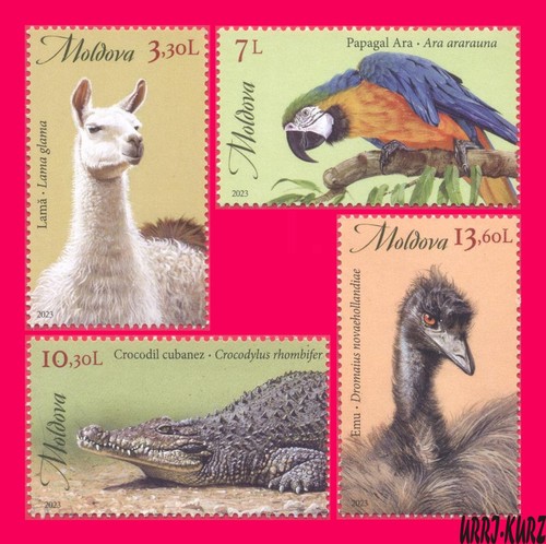Moldavia 2023 natura fauna - natura,
